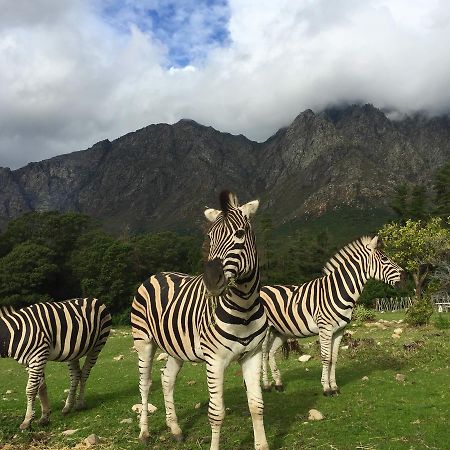Franschhoek Country Cottages Экстерьер фото
