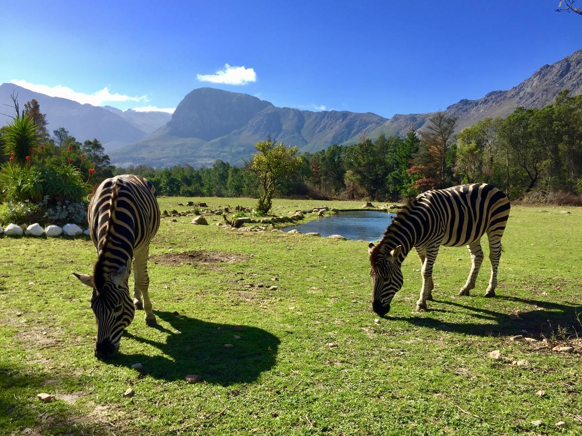 Franschhoek Country Cottages Экстерьер фото