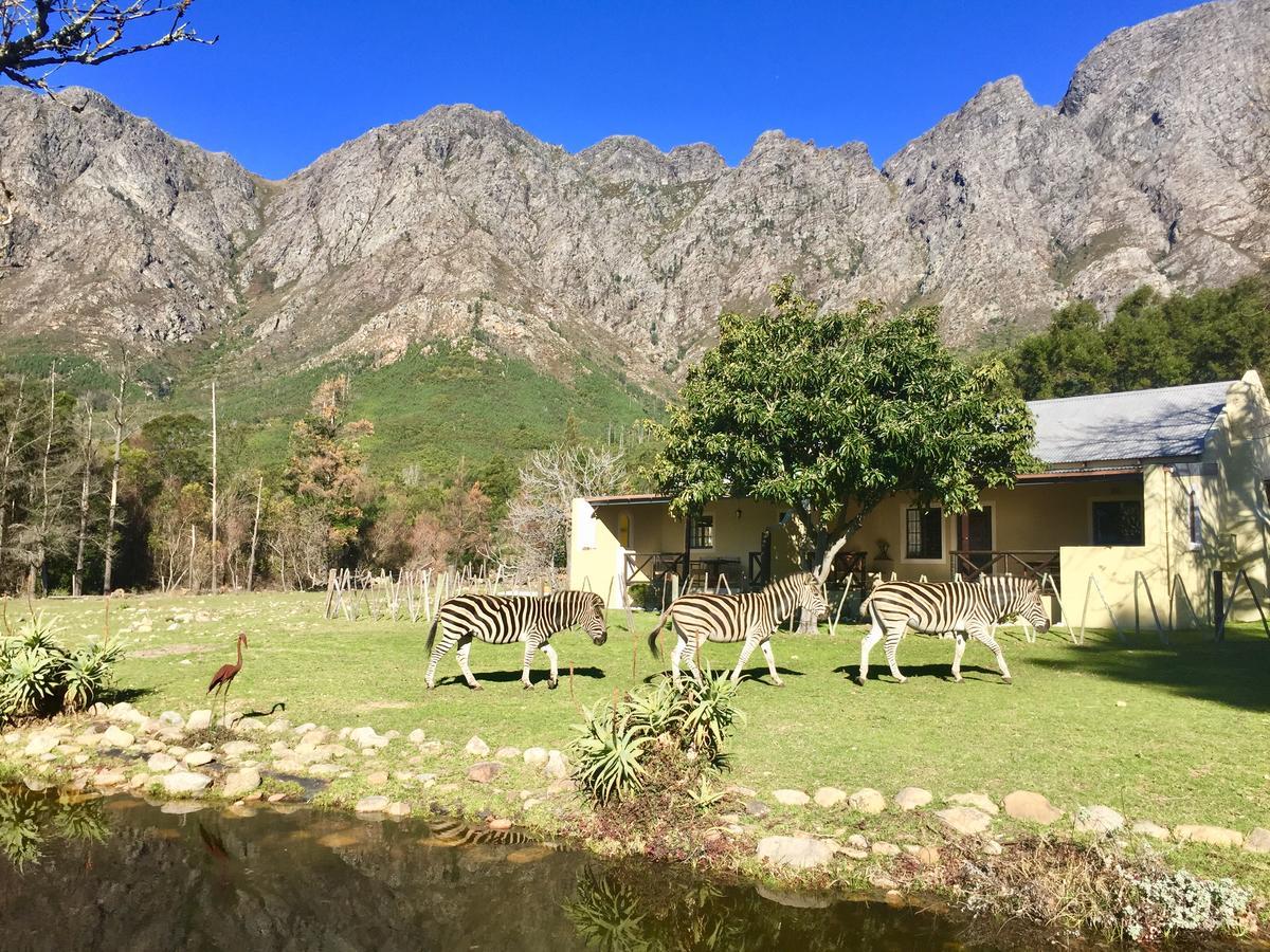 Franschhoek Country Cottages Экстерьер фото