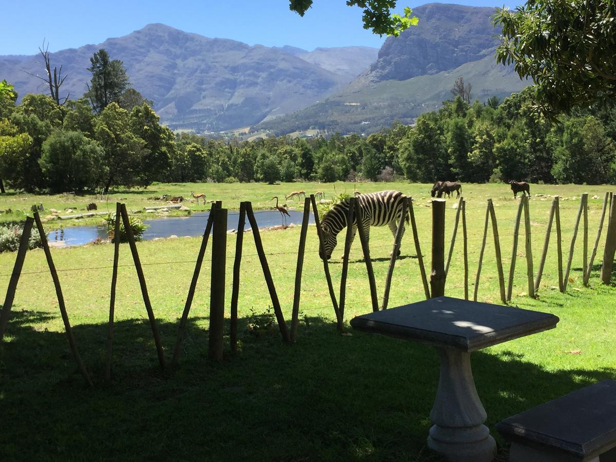 Franschhoek Country Cottages Экстерьер фото