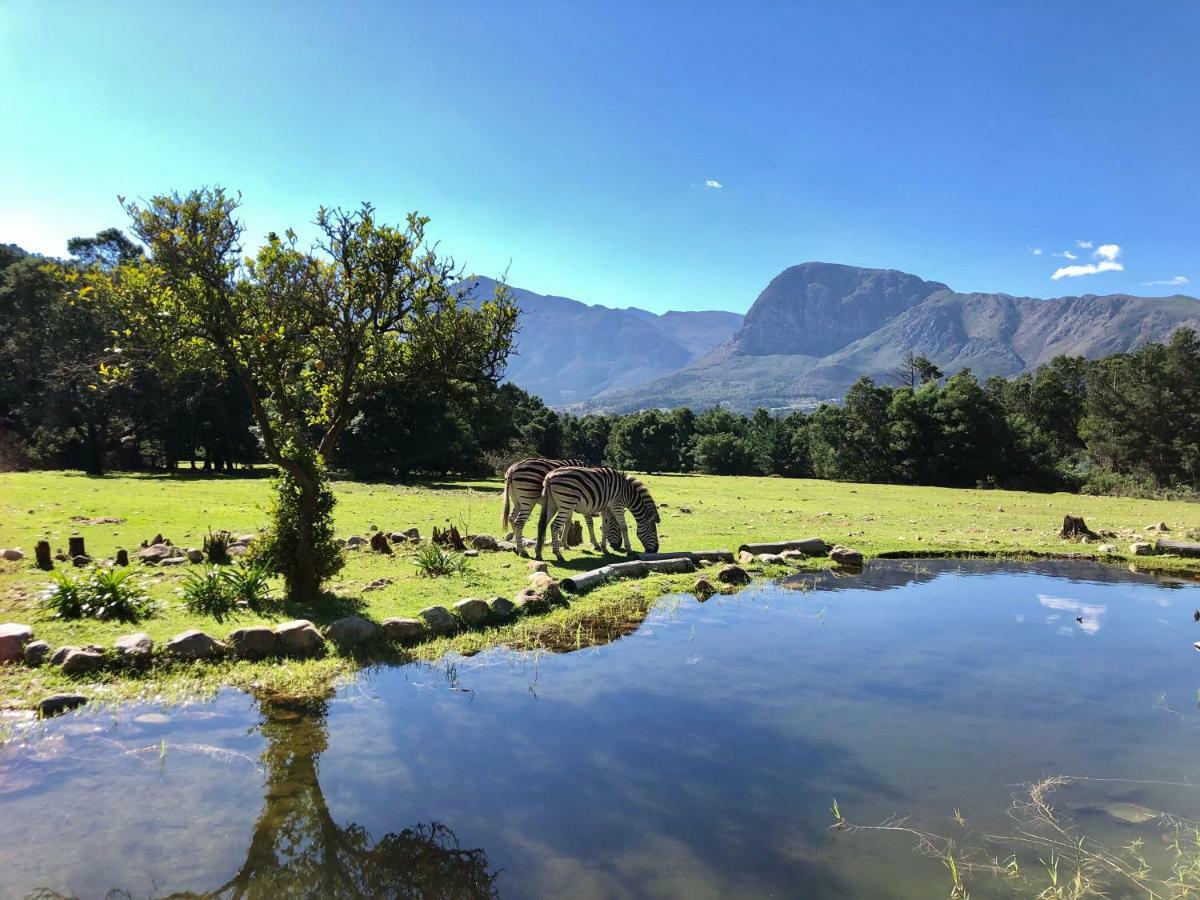 Franschhoek Country Cottages Экстерьер фото